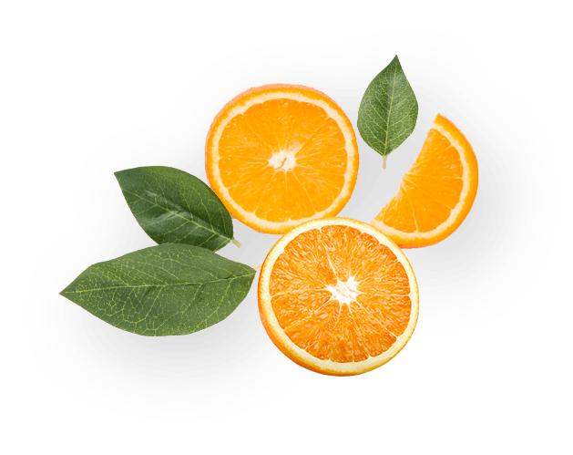 images/h1-slide2-layer2