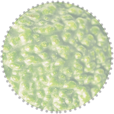 images/h1-slide3-layer1