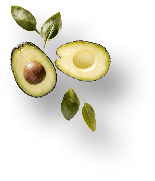 images/h1-slide3-layer2