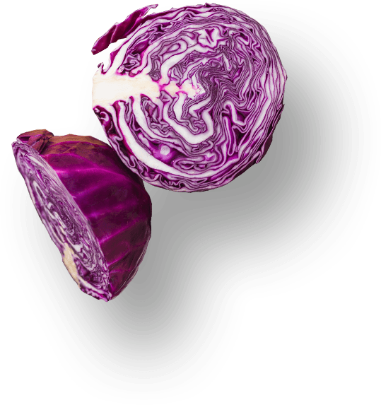 images/slider-layer2