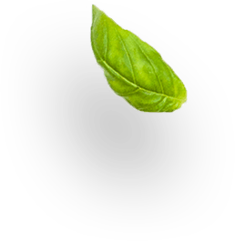 images/slider-layer4