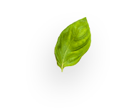 images/slider-layer5