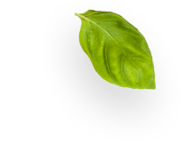 images/slider-layer6