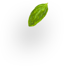 images/slider-layer7