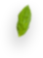 images/slider-layer8