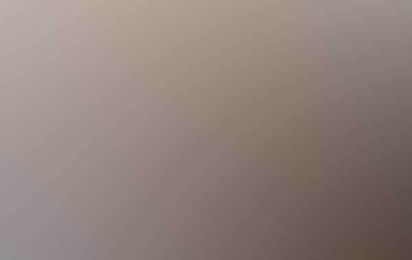 Free Bootstrap Template by ProBootstrap.com