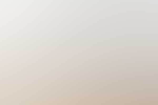 Free Bootstrap Template 