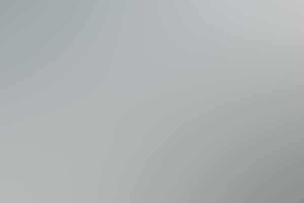 Free Bootstrap Template 